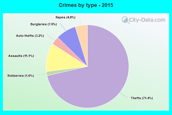 Crimes by type - 2015