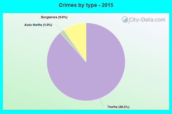 Crimes by type - 2015