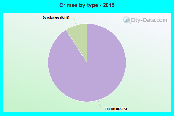 Crimes by type - 2015