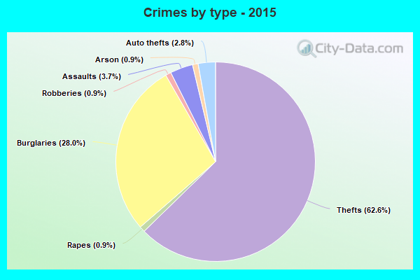 Crimes by type - 2015