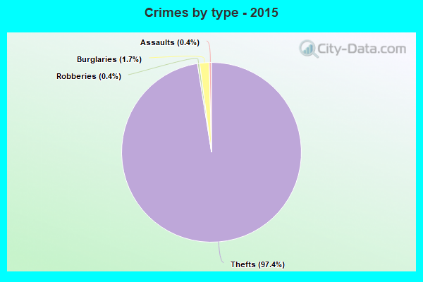 Crimes by type - 2015