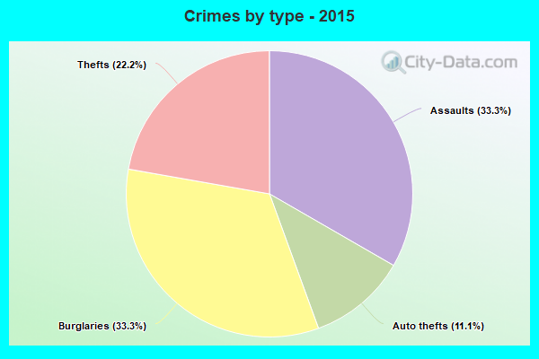 Crimes by type - 2015