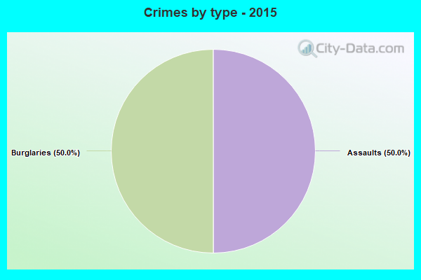 Crimes by type - 2015