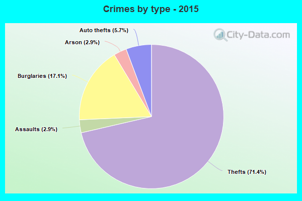 Crimes by type - 2015