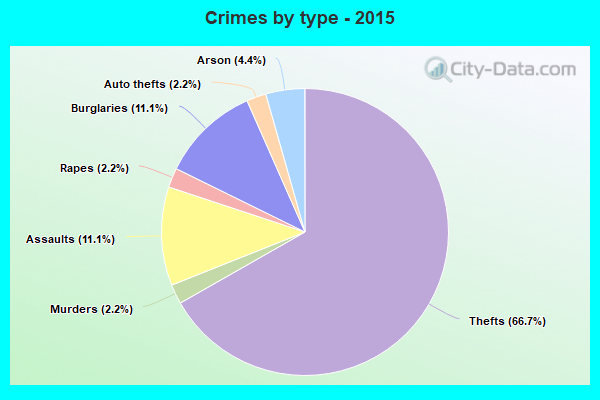 Crimes by type - 2015