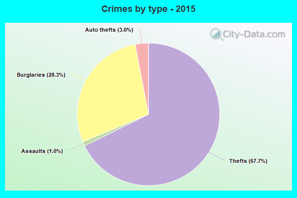 Crimes by type - 2015