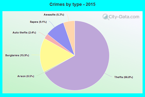 Crimes by type - 2015