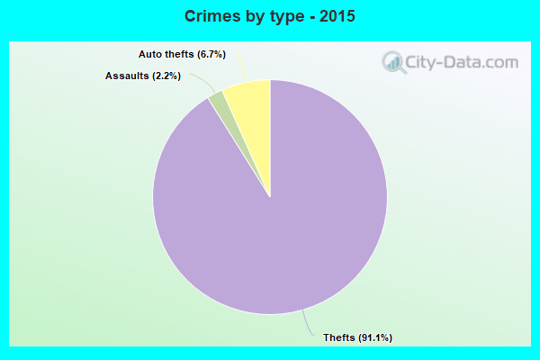 Crimes by type - 2015