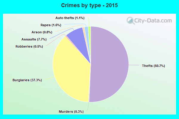 Crimes by type - 2015