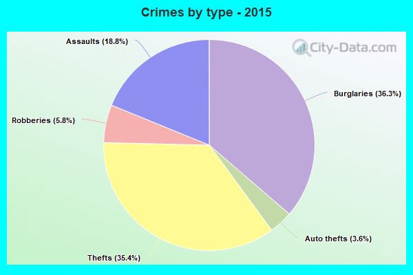 Crimes by type - 2015