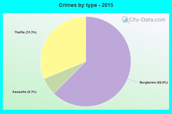 Crimes by type - 2015