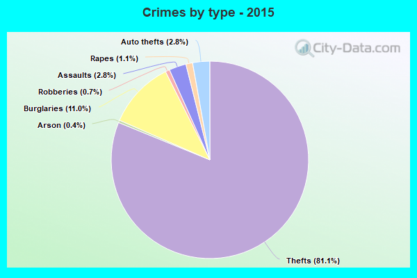 Crimes by type - 2015