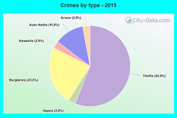 Crimes by type - 2015