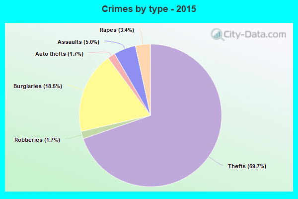 Crimes by type - 2015