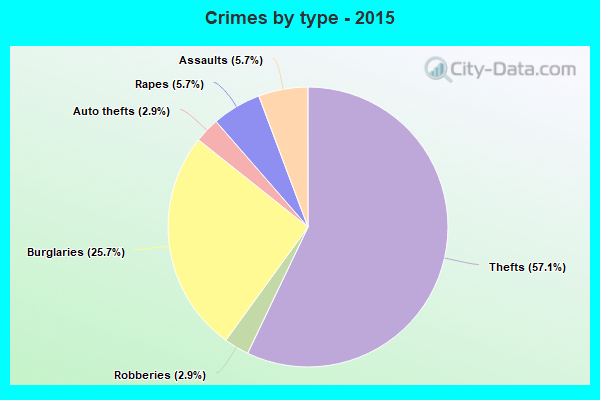 Crimes by type - 2015