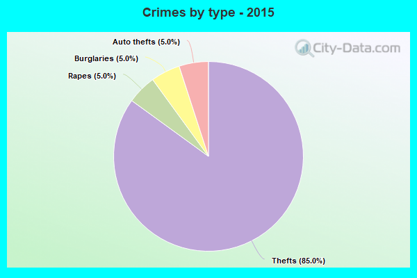 Crimes by type - 2015