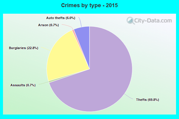 Crimes by type - 2015