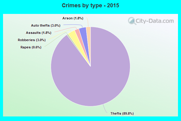 Crimes by type - 2015