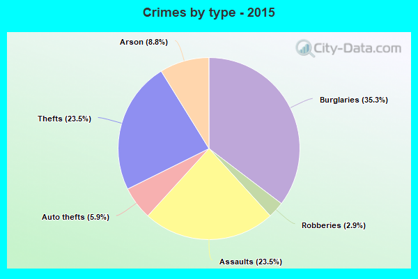 Crimes by type - 2015