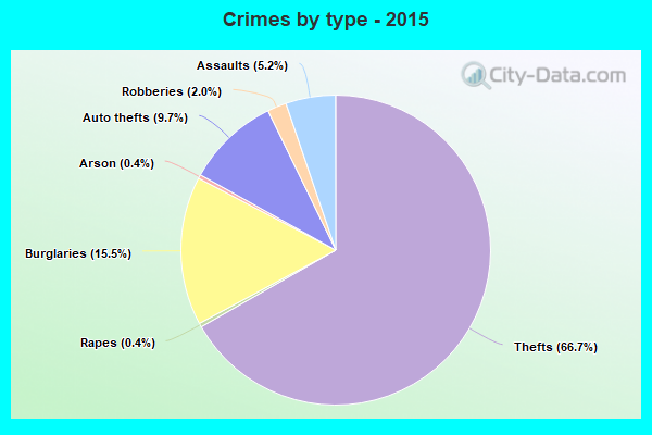 Crimes by type - 2015