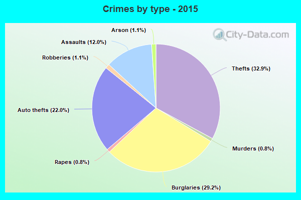 Crimes by type - 2015