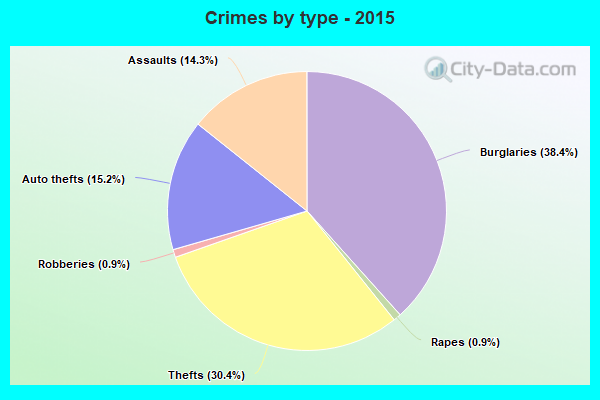 Crimes by type - 2015