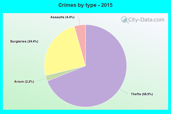 Crimes by type - 2015