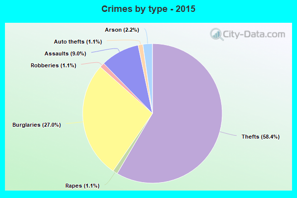 Crimes by type - 2015