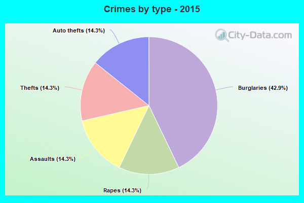 Crimes by type - 2015