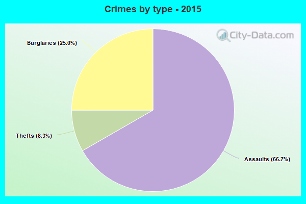 Crimes by type - 2015