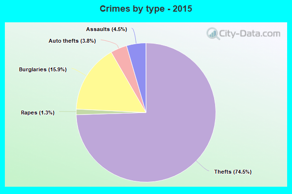 Crimes by type - 2015