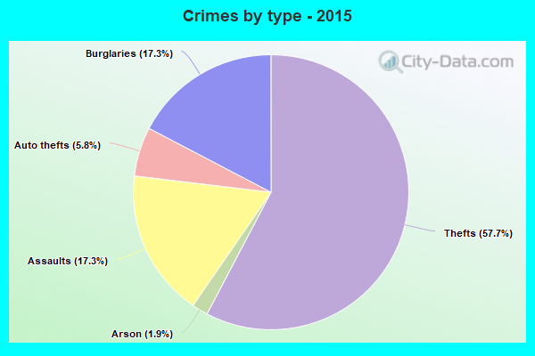 Crimes by type - 2015