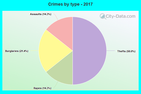 Crimes by type - 2017