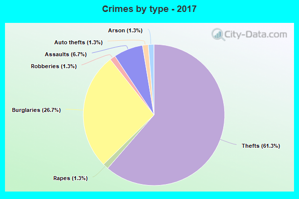 Crimes by type - 2017