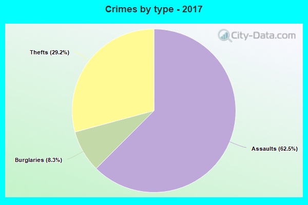 Crimes by type - 2017