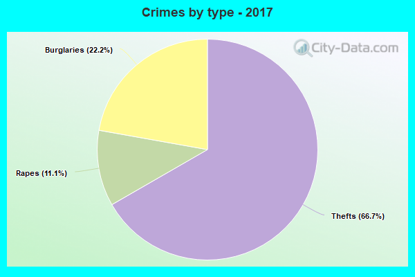 Crimes by type - 2017