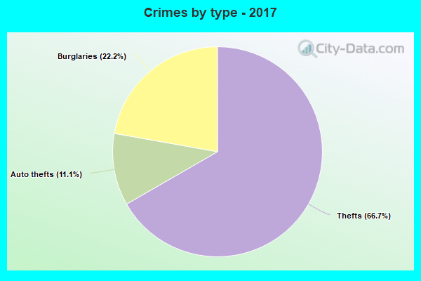 Crimes by type - 2017