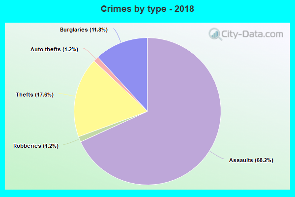 Crimes by type - 2018