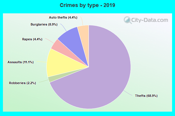 Crimes by type - 2019