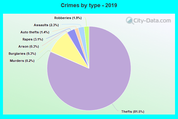 Crimes by type - 2019