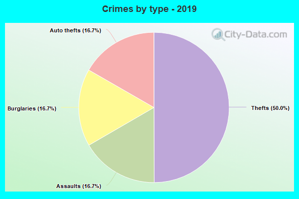 Crimes by type - 2019