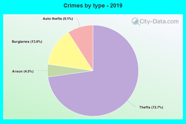 Crimes by type - 2019