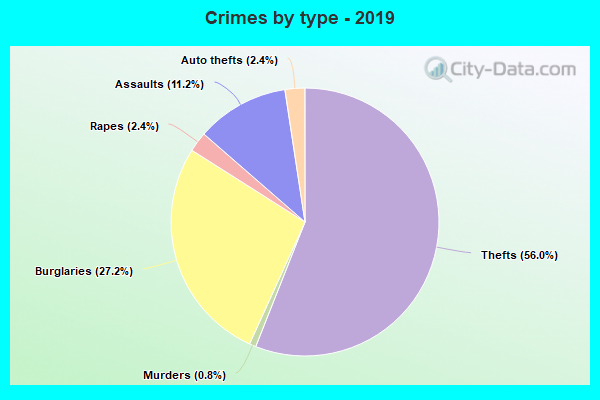 Crimes by type - 2019