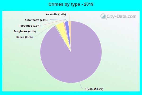 Crimes by type - 2019