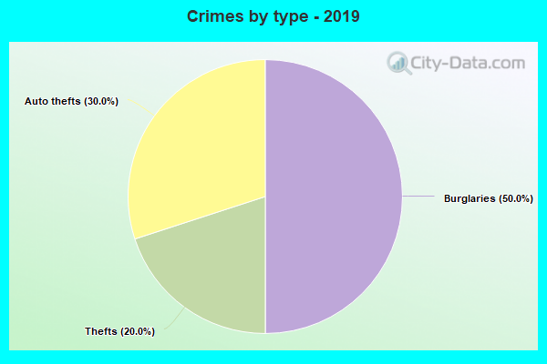 Crimes by type - 2019