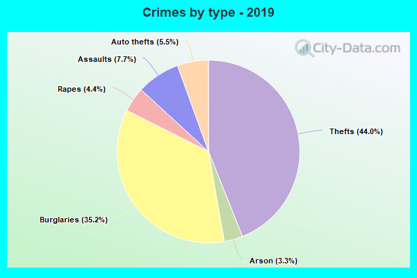 Crimes by type - 2019