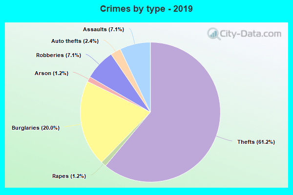 Crimes by type - 2019