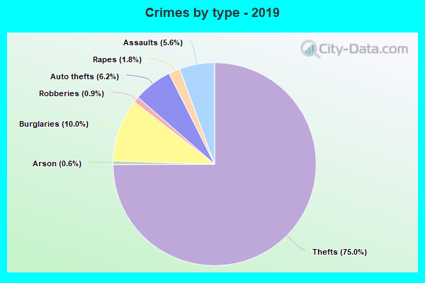 Crimes by type - 2019