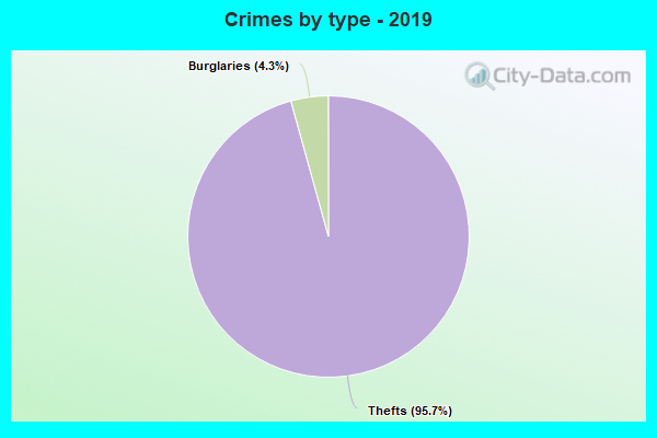 Crimes by type - 2019