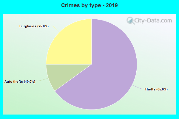 Crimes by type - 2019